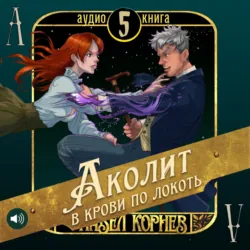 Приручить Эльфа, аудиокнига . ISDN69669661