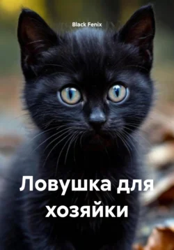 Ловушка для хозяйки, Black Fenix