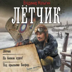 Лётчик: Лётчик. На боевом курсе! Под крыльями Босфор - Владимир Малыгин