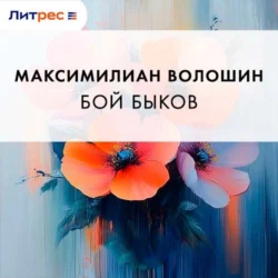 Бой быков, Максимилиан Волошин
