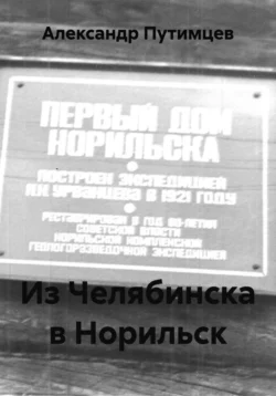 Из Челябинска в Норильск, Александр Путимцев