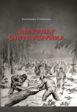 Константинополь и Проливы. Борьба Российской империи за столицу Турции, владение Босфором и Дарданеллами в Первой мировой войне. Том II, аудиокнига . ISDN71007664