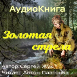 Гладкое личико, аудиокнига Виктории Токаревой. ISDN179937