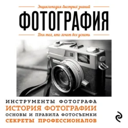 Быстрый русский. Вся грамматика в схемах и таблицах, аудиокнига Ф. С. Алексеева. ISDN21996648