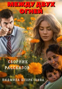 Между двух огней - Людмила Шторк-Шива