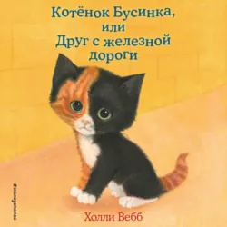 Котёнок Бусинка, или Друг с железной дороги - Холли Вебб
