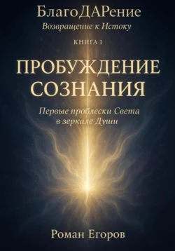 «Пробуждение Сознания», Роман Егоров