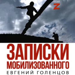 Записки мобилизованного. Очерки и рассказы - Евгений Голенцов