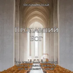 Пропавший Бог - Фелиция Шай