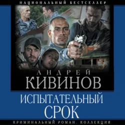 Испытательный срок - Андрей Кивинов
