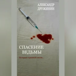 Сказочница, аудиокнига Егора Соколова. ISDN67963023