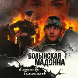 Волынская мадонна, Александр Тамоников