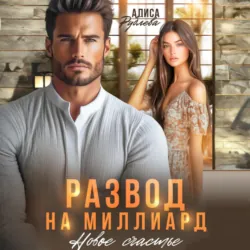 Развод. (Не) девичья фамилия, аудиокнига . ISDN72192256