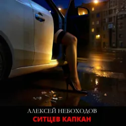 Ситцев капкан - Алексей Небоходов