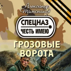 Грозовые ворота - Александр Тамоников