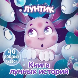 Лунтик. В поисках чудес, аудиокнига . ISDN71555044