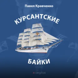 Возрождение. Сборник стихов., аудиокнига Павла Кравченко. ISDN72701509