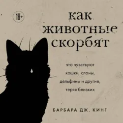 Как животные скорбят. Что чувствуют кошки, слоны, дельфины и другие, теряя близких - Барбара Дж. Кинг