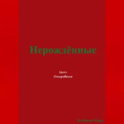 Посланник. Правдивая история про любовь, аудиокнига Клауса Джоула. ISDN175723
