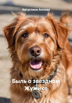 Быль о звездном Жужике - Августина Аннова