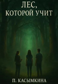 Миша и Королевство потерянных мыслей, аудиокнига . ISDN74167183