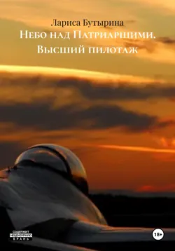Небо над Патриаршими. Высший пилотаж - Лариса Бутырина
