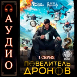 АДвокат, аудиокнига Вики Кисимяка. ISDN52722607