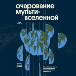 Очарование мультивселенной. Параллельные миры, другие измерения и альтернативные реальности - Пол Халперн