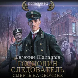 Господин следователь. Смерть на обочине - Евгений Шалашов