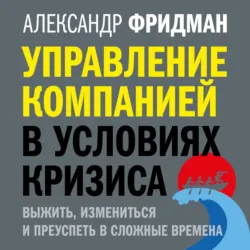 Управление компанией в условиях кризиса. Выжить, измениться и преуспеть в сложные времена - Александр Фридман