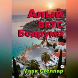 Запасной аэродром, аудиокнига Анны Сергеевны Байрашной. ISDN66865733