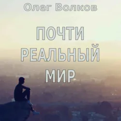 Почти реальный мир - Олег Волков