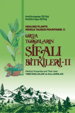 ORTA TOROSLARIN ŞİFALI BİTKİLERİ – II - авторов Коллектив