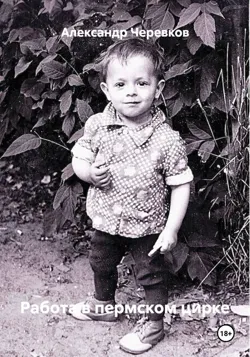 Работа в пермском цирке, аудиокнига Александра Черевкова. ISDN72609472