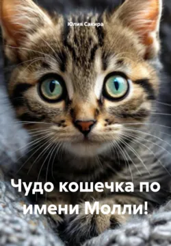 Смешные рассказы для детей, аудиокнига Марины Дружининой. ISDN69522796