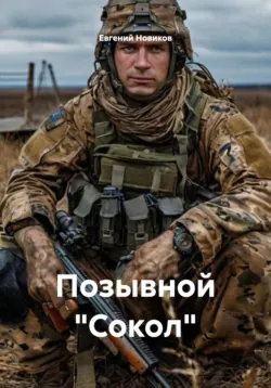Ученик чародея, аудиокнига Николая Шпанова. ISDN5981890