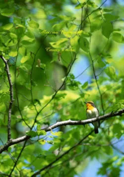 Стихи в небо - Максим Сотников