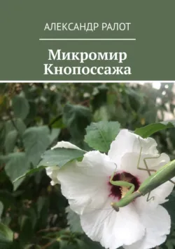 Микромир Кнопоссажа, Александр Ралот