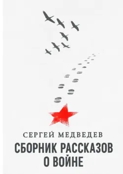 Сборник рассказов о войне, Сергей Медведев