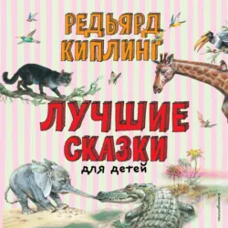 Шёл по городу волшебник, аудиокнига Юрия Томина. ISDN70192693