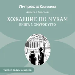 Ослик должен быть худым. Рассказы, аудиокнига Сергея Довлатова. ISDN25438327