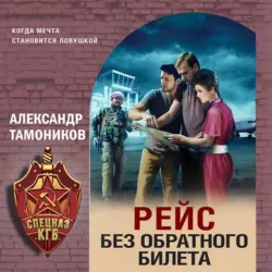 Рейс без обратного билета - Александр Тамоников