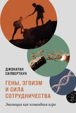 Inorganic Reactions and Methods, Oligomerization and Polymerization Formation of Intercalation Compounds,  аудиокнига. ISDN43542410