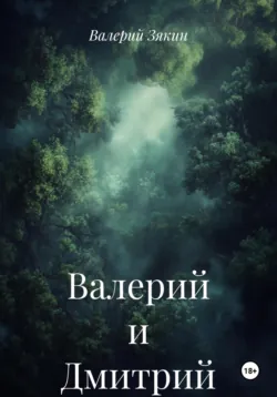 Валерий и Дмитрий, аудиокнига Валерия Дмитриевича Зякина. ISDN72629776