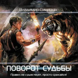 Поворот судьбы - Владимир Синицын