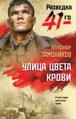 Улица цвета крови - Александр Тамоников