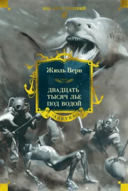 Чёрный Охотник, аудиокнига Джеймса Оливера Кервуда. ISDN130304