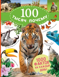 100 тысяч почему на каждый день. Природа - Кристина Банфи