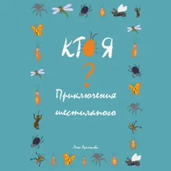 100 фактов о шиншиллах, аудиокнига Олега Лошманова. ISDN72310021