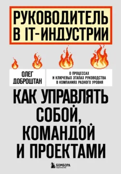 Руководитель в IT-индустрии. Как управлять собой, командой и проектами, аудиокнига . ISDN72714331